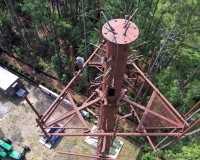 Tower19